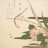 Thơ Haiku là gì? Tìm hiểu về thể thơ ngắn nhất thế giới có nguồn gốc từ Nhật Bản